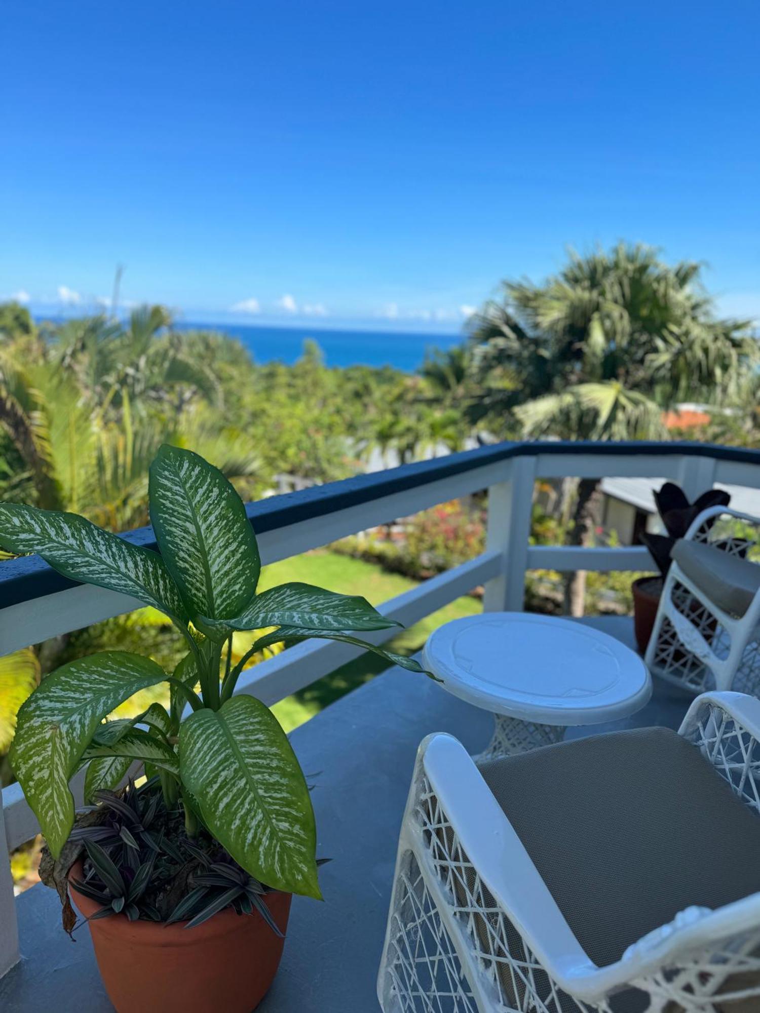 Catalina, Cabrera Oceanview Multi 2 Bd 2 Bath Condo Units With Balcony And Pool Екстериор снимка